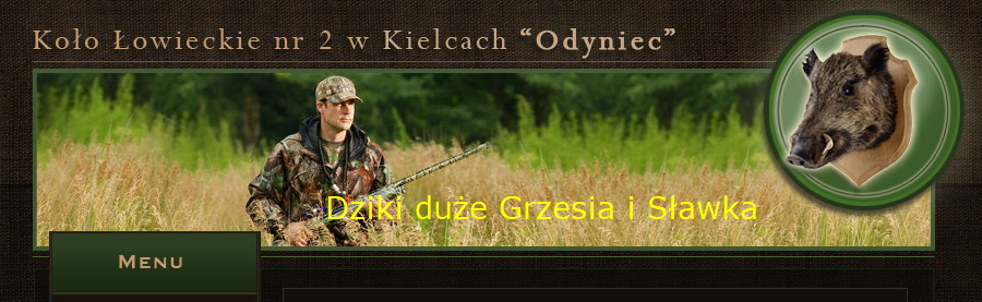 Dziki due Grzesia i Sawka